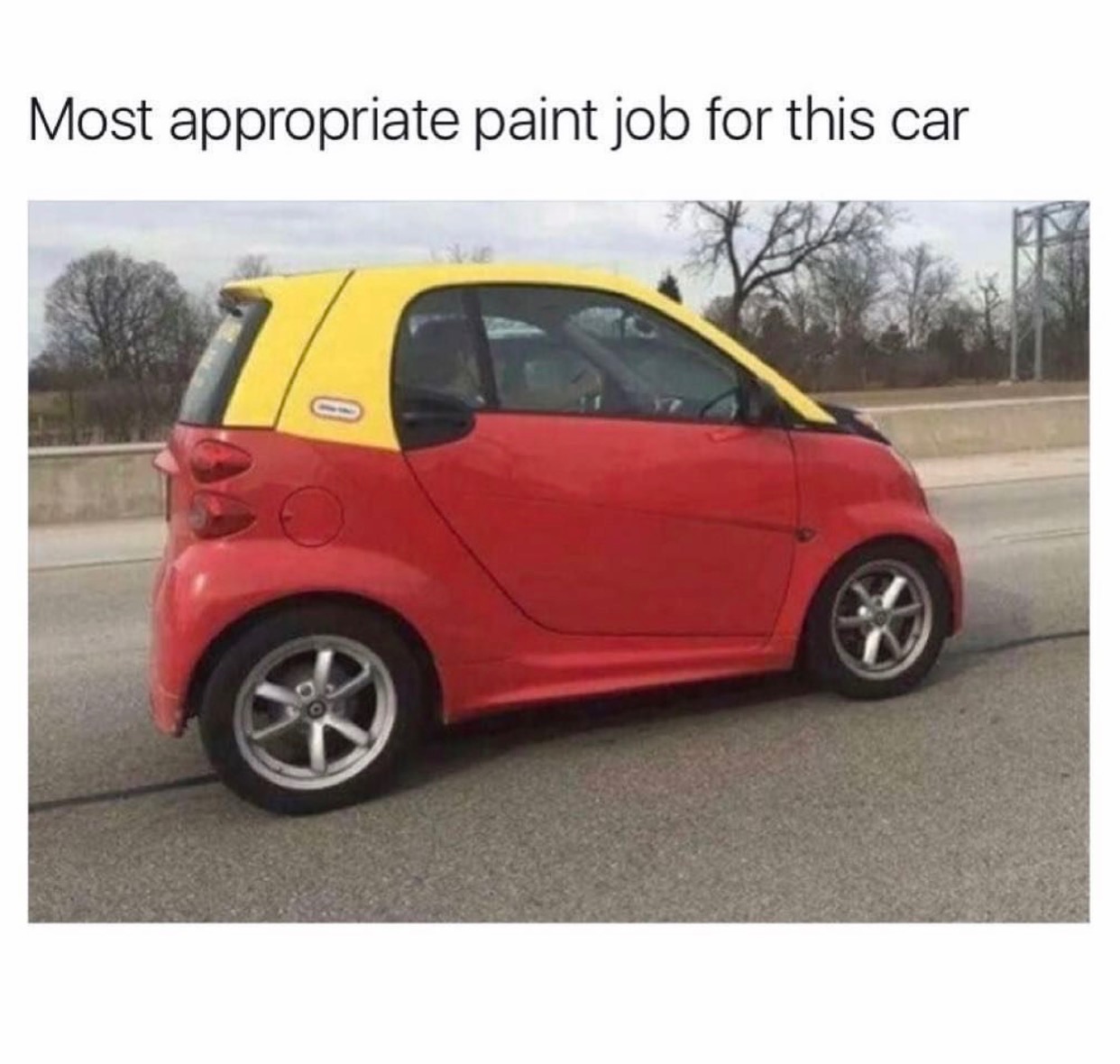 memes - dank car memes - Most appropriate paint job for this car