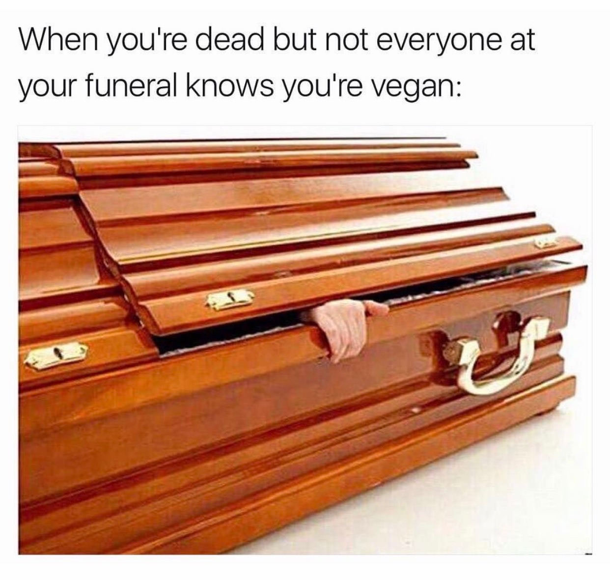 memes - someone talks shit about shrek - When you're dead but not everyone at your funeral knows you're vegan