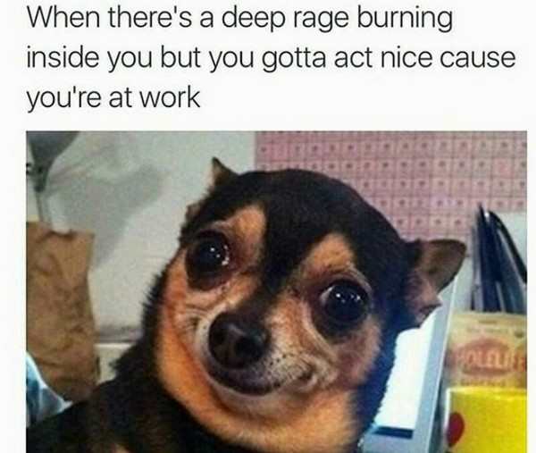 Work Meme about controlling your rage at work