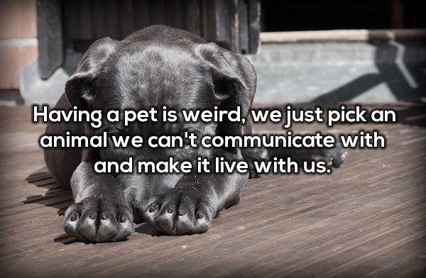 20 Shower thoughts that are a real mind f*ck