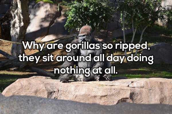 20 Shower thoughts that are a real mind f*ck