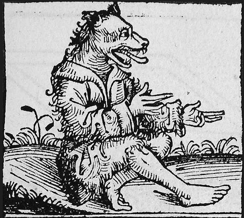 Peter Stumpp who confessed to being a werewolf, having sex with a succubus, eating fetus’ ripped from their mother’s belly’s, and making a pact with the Devil. He killed 18 people and was executed.

In 1589, Stumpp had one of the most lurid and famous werewolf trials in history. After being stretched on the rack, he confessed to having practiced black magic since he was twelve years old. He claimed that the Devil had given him a magical belt, which enabled him to metamorphose into “the likeness of a greedy, devouring wolf, strong and mighty, with eyes great and large, which in the night sparkled like fire, a mouth great and wide, with most sharp and cruel teeth, a huge body, and mighty paws.” Removing his belt, he said, made him transform back to his human form.
For twenty-five years, Stumpp had allegedly been an “insatiable bloodsucker” who gorged on the flesh of goats, lambs, and sheep, as well as men, women, and children. Being threatened with torture he confessed to killing and eating fourteen children, two pregnant women, and their fetuses. One of the fourteen children was his own son, whose brain he was reported to have devoured.
Not only was Stumpp accused of being a serial murderer and cannibal, but also of having an incestuous relationship with his daughter, who was sentenced to die with him, and he coupled with a distant relative, which was also considered to be incestuous according to the law. In addition to this he confessed to having had intercourse with a succubus sent to him by the Devil.
His execution is one of the most brutal on record: He was put to the wheel, where flesh was torn from his body, in ten places, with red-hot pincers, followed by his arms and legs. Then his limbs were broken with the blunt side of an axehead to prevent him from returning from the grave, before he was beheaded and burned on a pyre. His daughter and mistress had already been strangled and were burned along with Stumpp’s body. As a warning against similar behavior, local authorities erected a pole with the torture wheel and the figure of a wolf on it, and at the very top they placed Peter Stumpp’s severed head.