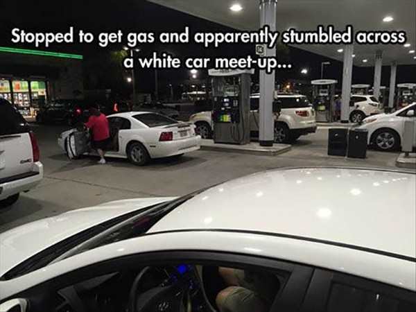 funny coincidences - Stopped to get gas and apparently stumbled across d white car meetup.... 3