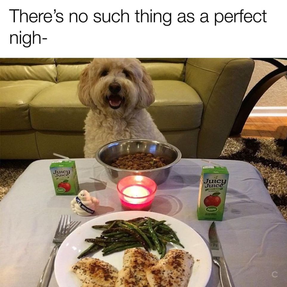 dog date meme - There's no such thing as a perfect nigh Juicy Juice Tric Juice