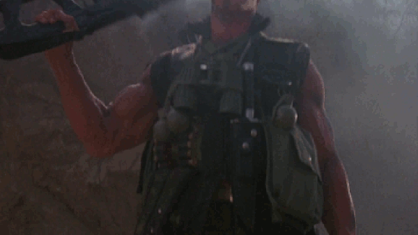 arnold action gif