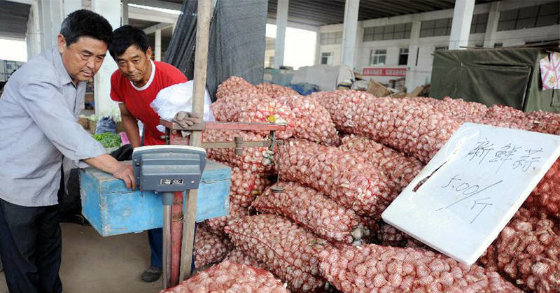 Piles of bagged up Chinese garlic