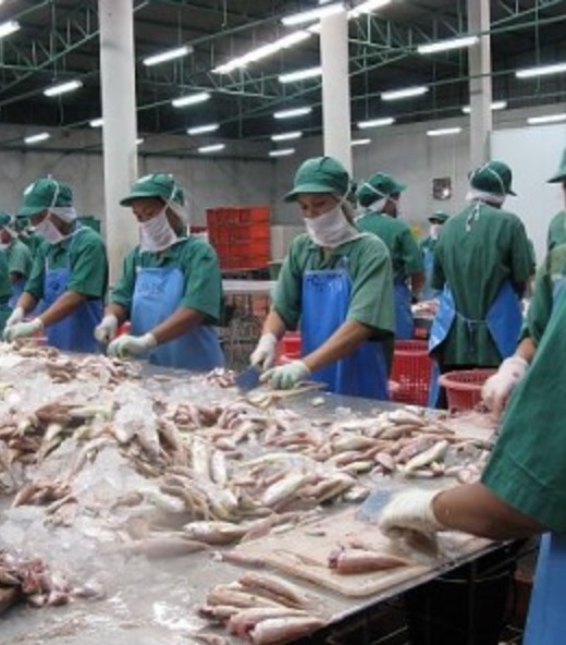seafood export in sri lanka