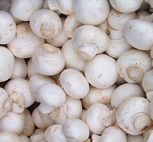 A pile of white button mushrooms