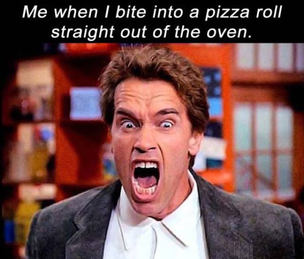 32 images and memes that are the absolute truth