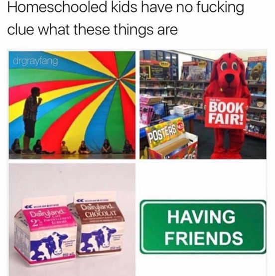 Funny dank meme about all the things that home schooled kids are missing out on, like classes, bookfairs, milk cartons and oh yeah-  having friends.