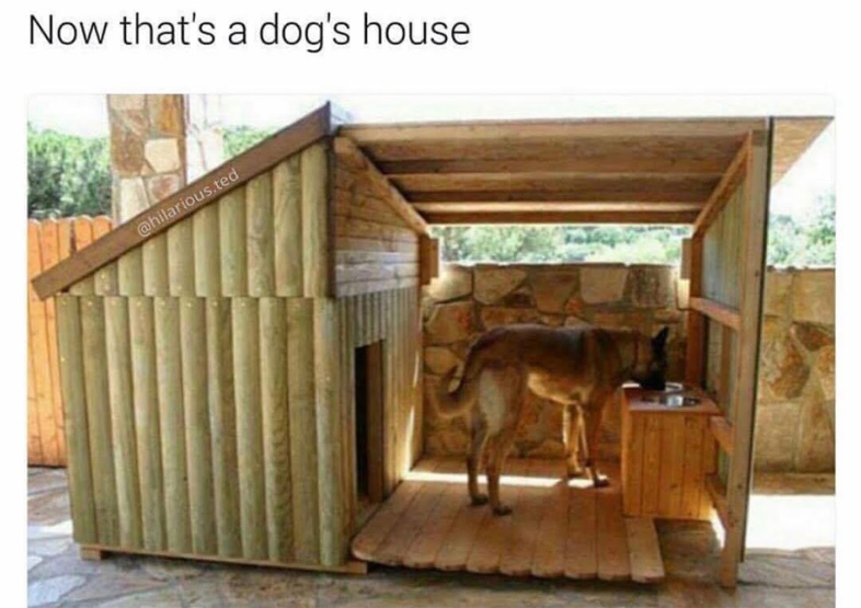 Cool picture of the most awesome dog house ever built.