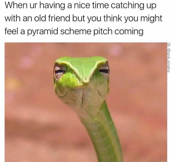 Funny picture of a skeptical snake of a dank meme about when an old friend is talking you you think it might be a pyramid scheme coming on.