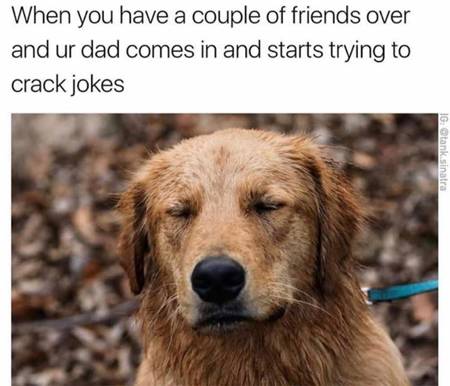 Dank meme of a funny dog expression that is captioned to be your reaction when you have friends over and your dad starts cracking jokes.
