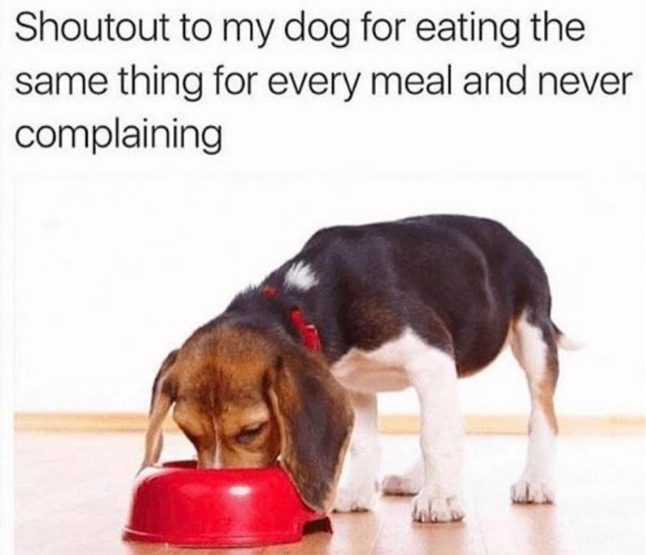 Cute meme about recognizing that you dog eats the same meal everyday almost.