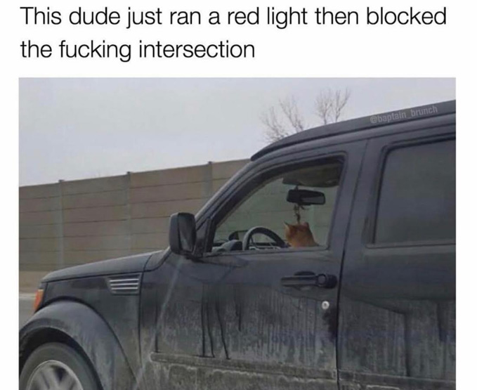 Dankest of meme about a driver that ran a red light and blocked the intersection, looks like said driver was an orange tabby cat.