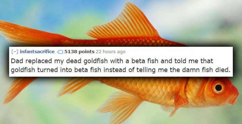 17 Dumb Things People Actually Believed For Way Too Long