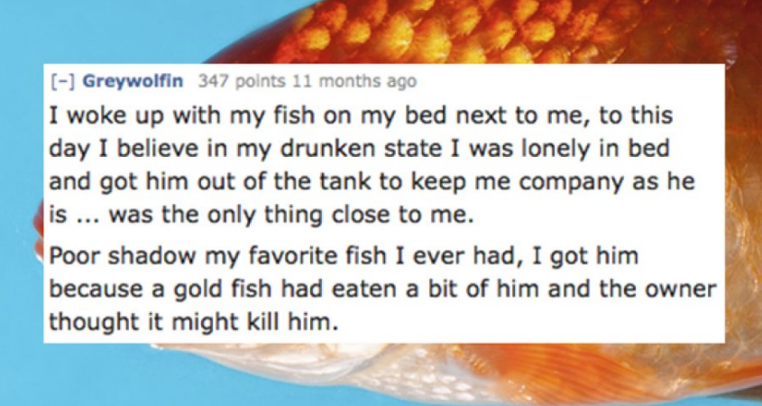 15 People Share Their Best/Worst Blackout Drunk Stories