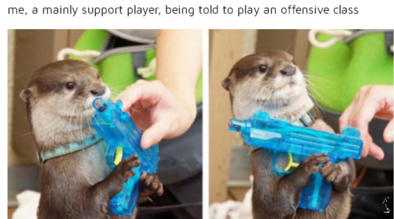 tumblr - navy otters - me, a mainly support player, being told to play an offensive class