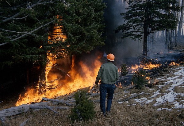 “I was playing a game in my room, and I felt a bit weird, so I went to the window and looked outside. Nothing. So I went to the front door, and, lo and behold, my front yard is completely on fire. I live behind my neighbors, and they have a pretty large backyard, about 200 yards across and 100 yards deep. The entire thing is on fire. Turns out my neighbor had walked away and wind picked up, catching the dry grass on fire. They had already put out a good bit, but they were both wheezing loudly and about to pass out, they’re both not in the best shape.
I go and get my dog that was outside, bring him inside and stick him in a cage. I then run to our workshop, grab a hoe and an old Carhartt jacket and get to work putting out fire with two other people. We put out the entire yard by hitting it with a jacket and then knocking it completely out with our shoes and a hoe. Slam jacket down, beat out with hoe, over and over, for about an hour. I got it out before it spread to the thick brush around their yard. Should it have caught fire, it would have demolished the woods near my house, and possibly catching fire to my home. It was about 4 feet from hitting the brush, if it would have caught fire, our day would have been much much worse. If I wouldn’t have been there, the chances of them putting it out were slim-to-none.”