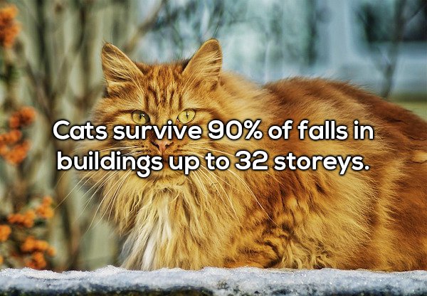 20 facts full of WTF