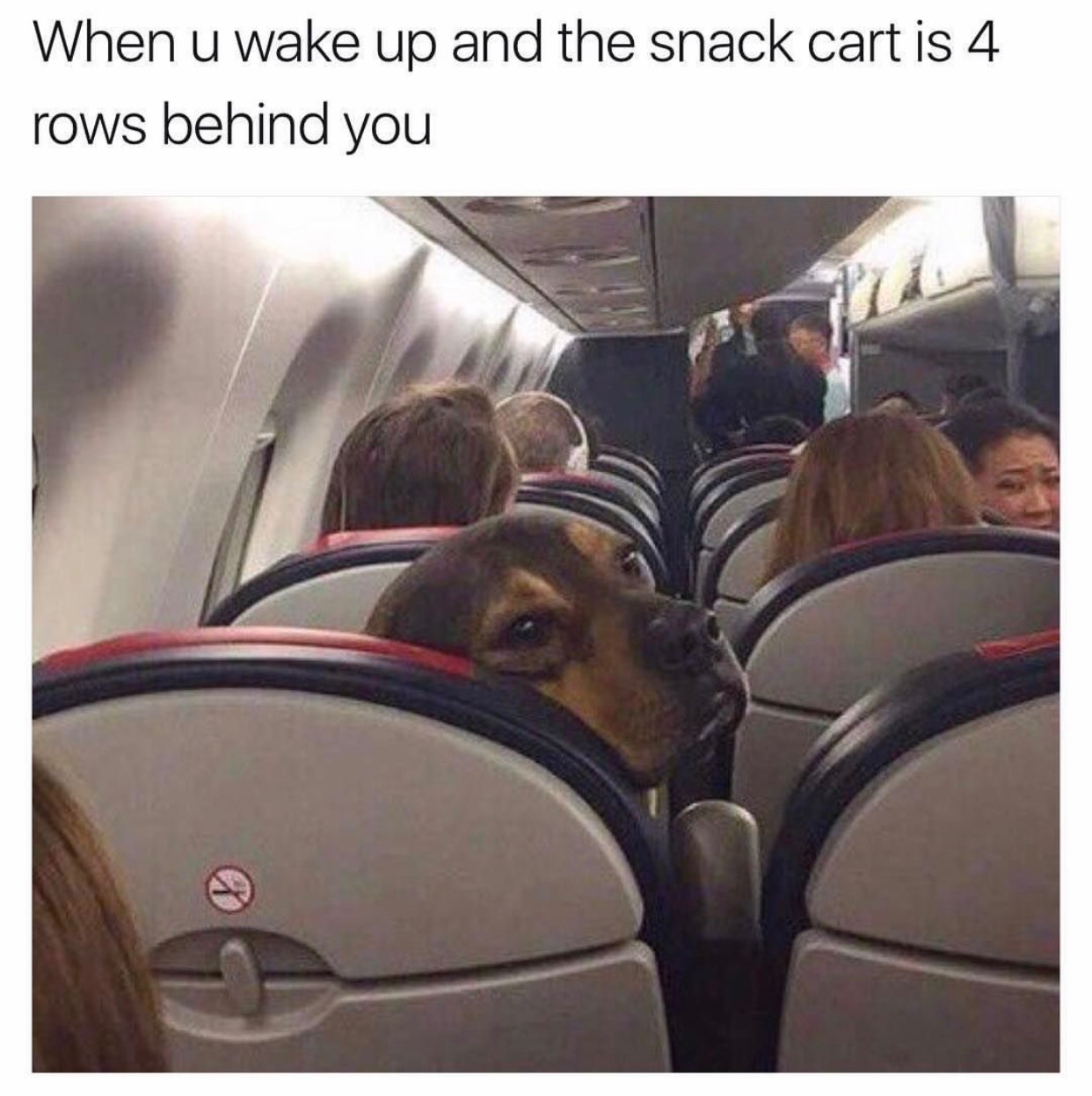 memes - travel funny - When u wake up and the snack cart is 4 rows behind you