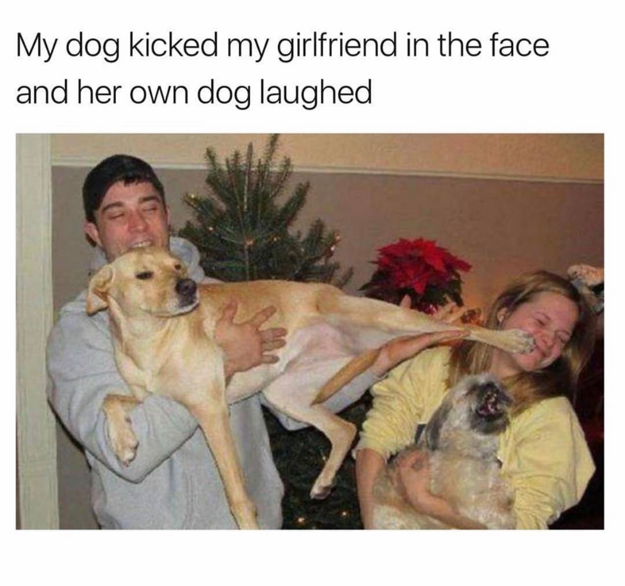 memes - dog jealous of girlfriend - My dog kicked my girlfriend in the face and her own dog laughed