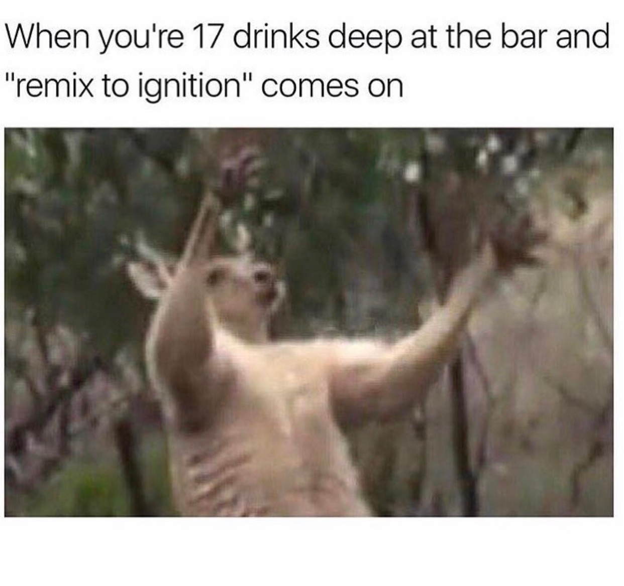 memes - killers mr brightside meme - When you're 17 drinks deep at the bar and "remix to ignition" comes on