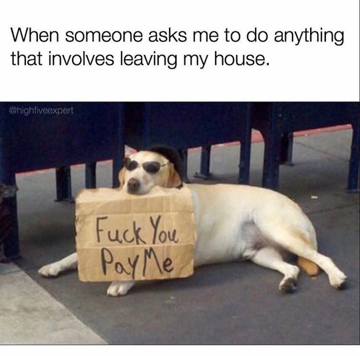memes - fuck you pay me dog meme - When someone asks me to do anything that involves leaving my house. Fuck You Payme