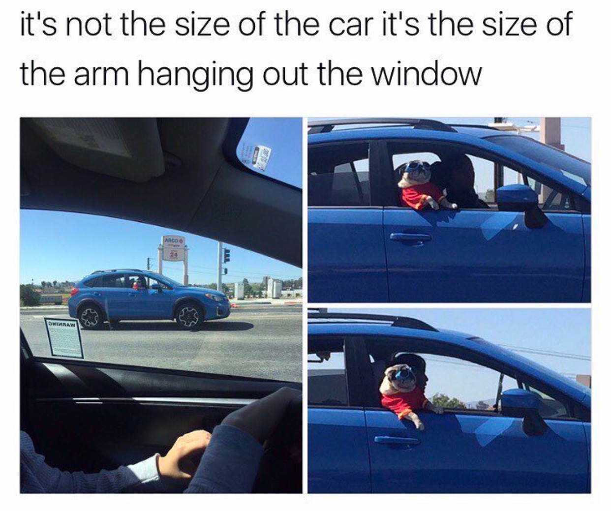 memes - vehicle door - it's not the size of the car it's the size of the arm hanging out the window Argo Swimsaw