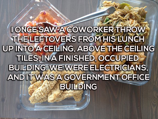 new look - I Once Saw A Coworker Throw The Leftovers From His Lunch Up Into A Ceiling, Above The Ceiling Tiles, In A Finished, Occupied Building. We Were Electricians, And It Was A Government Office Building