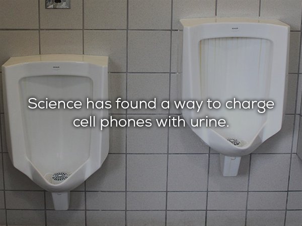 25 science facts you will not believe