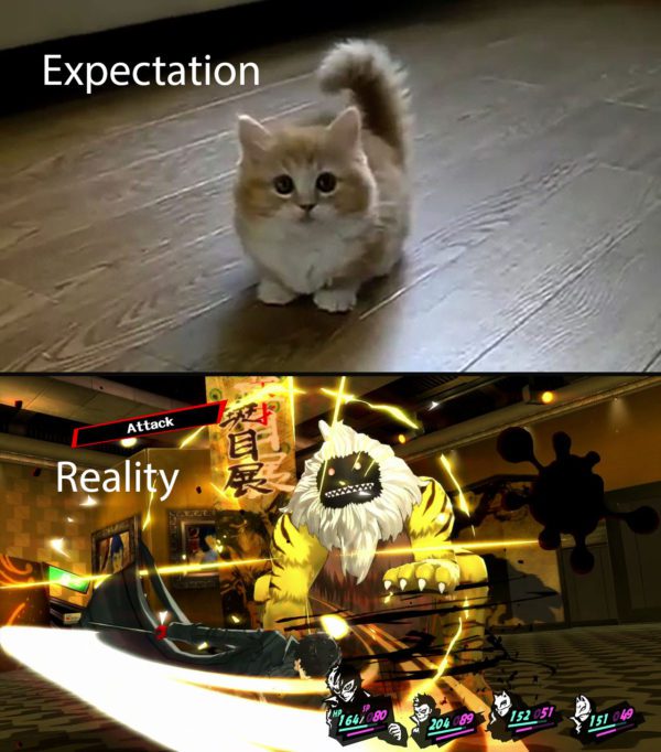 25 expectation vs reality pics