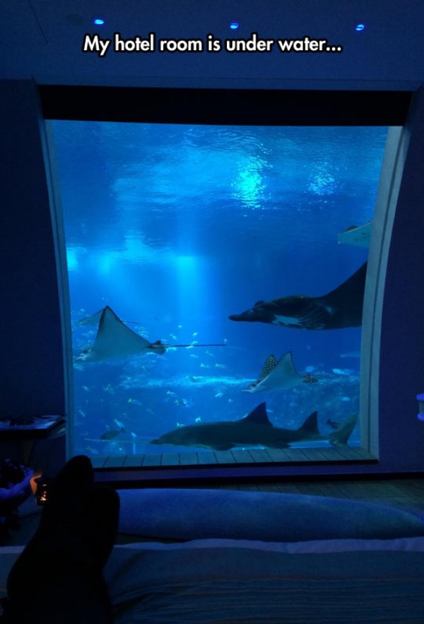 underwater hotel at night - My hotel room is under water...