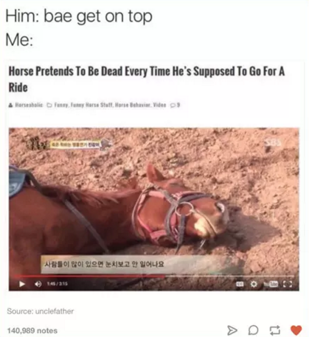 horse pretends to be dead every time - Him bae get on top Me Horse Pretends To Be Dead Every Time He's Supposed To Go For A Ride & Horsebali seyy are Stallone B Videos . Source uncleather 140,989 notes
