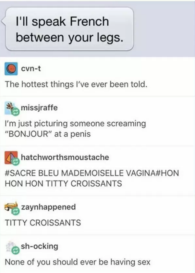 titty croissants - I'll speak French between your legs. cvnt The hottest things I've ever been told. missjraffe I'm just picturing someone screaming "Bonjour" at a penis hatchworthsmoustache Bleu Mademoiselle Vagina Hon Hon Titty Croissants zaynhappened T
