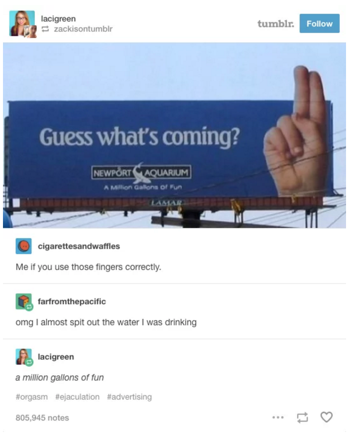 guess what's coming meme - lacigreen zackisontumblr tumblr. Guess what's coming? Newport Aquarium A Million Galions of Fun Lamar cigarettesandwaffles Me if you use those fingers correctly. farfromthepacific omg I almost spit out the water I was drinking l