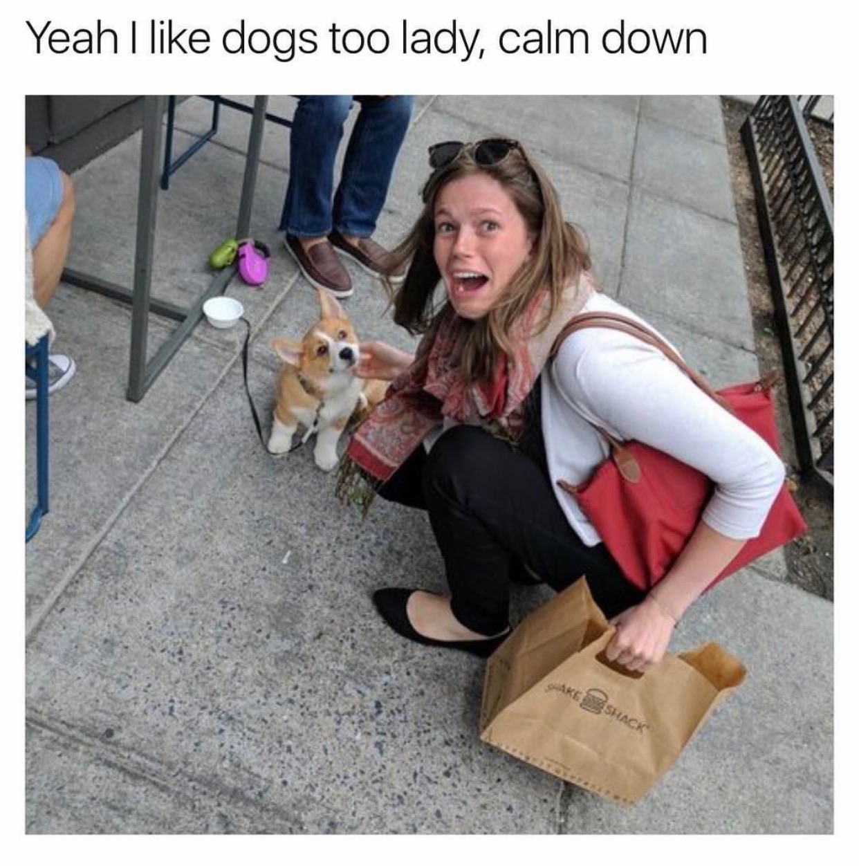 memes - infp mbti memes - Yeah I dogs too lady, calm down
