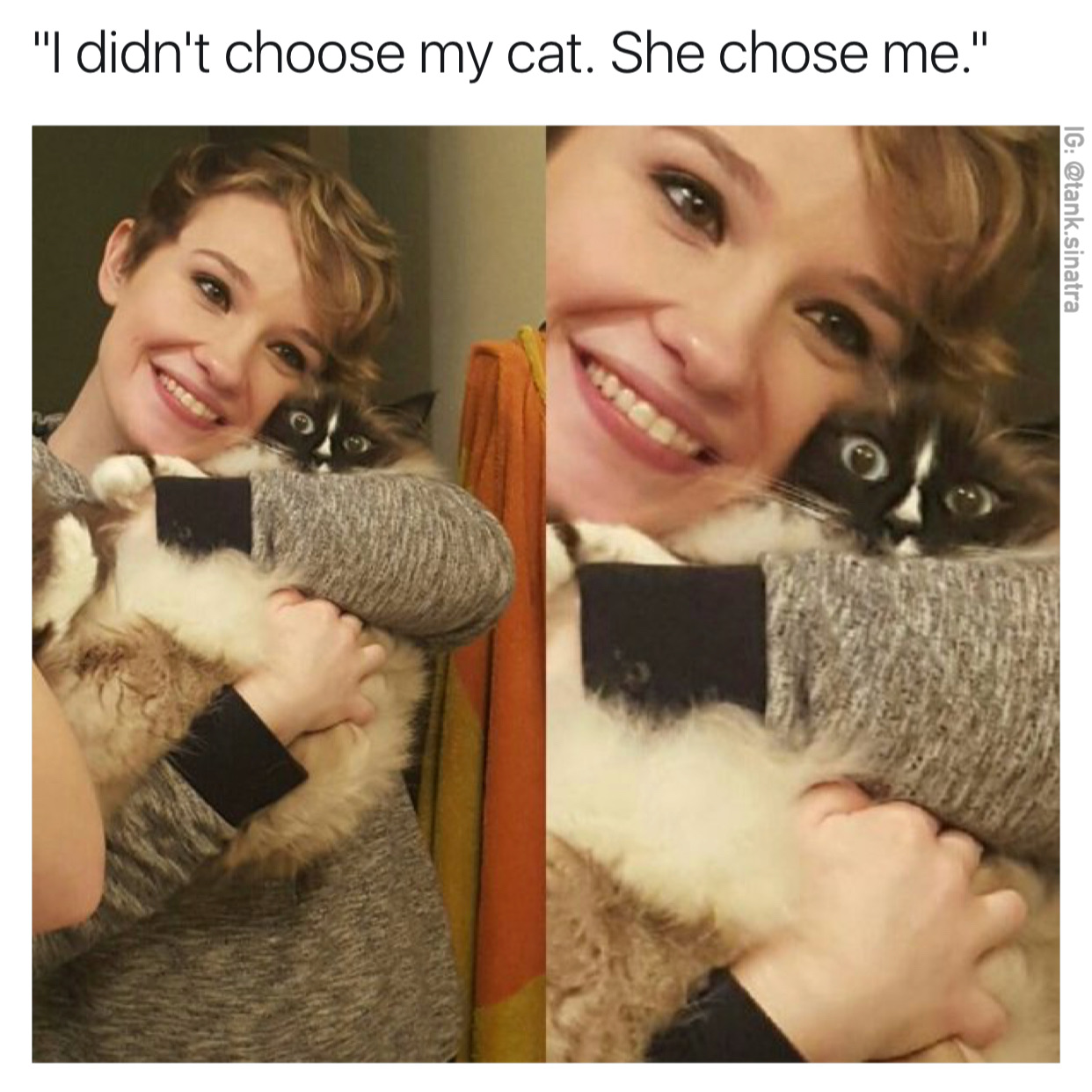 memes - mêmes de chat - "I didn't choose my cat. She chose me." Ig .sinatra