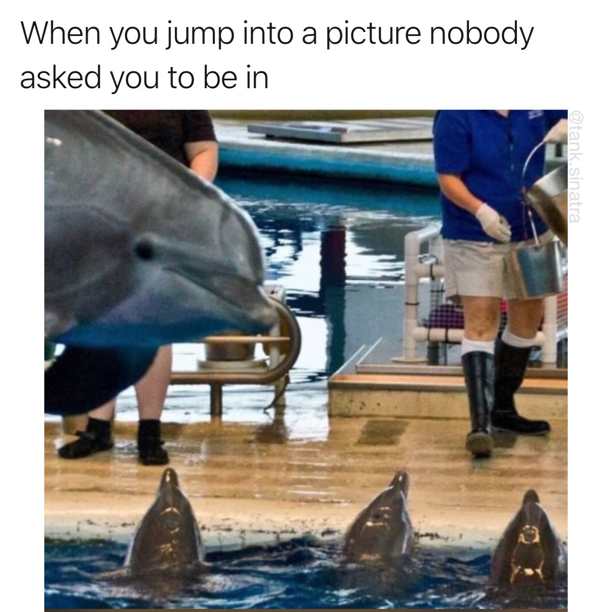 memes - water - When you jump into a picture nobody asked you to be in sinatra