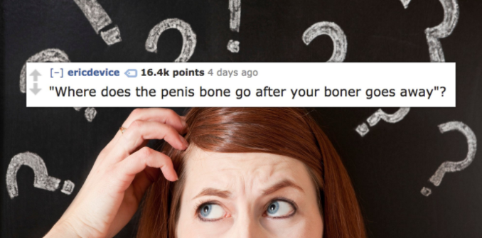 am i entrepreneur - ericdevice points 4 days ago "Where does the penis bone go after your boner goes away"?