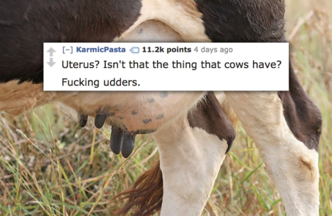 KarmicPasta points 4 days ago Uterus? Isn't that the thing that cows have? Fucking udders.