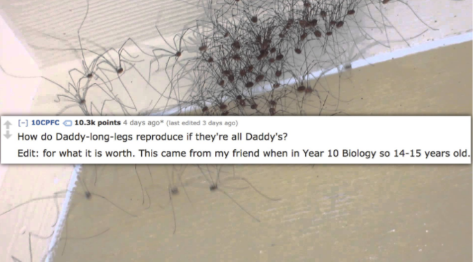 texture - 10CPFC points 4 days ago last edited 3 days ago How do Daddylonglegs reproduce if they're all Daddy's? Edit for what it is worth. This came from my friend when in Year 10 Biology so 1415 years old.