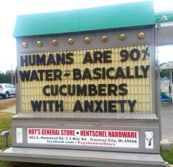 cucumbers with anxiety - Humans Are 90% WaterBasically Cucumbers With Anxiety Roy'S General Store Hentschel Hardware 963 E. Hammond Rd. 3 Mile Rd. Traverse City, Mi.49686 facebook.comRoys General Store