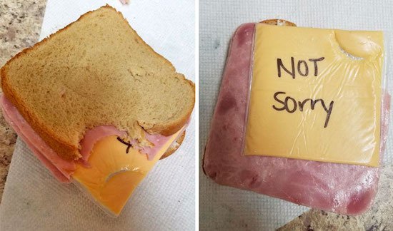 wife sandwich maker - Not Sorry