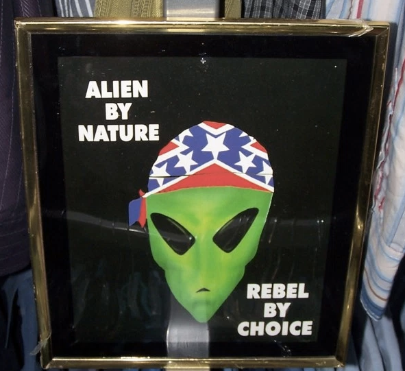 headgear - Alien By Nature Rebel By Choice