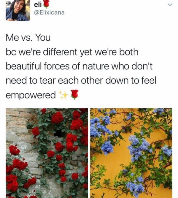 wholesome memes - me vs you meme beautiful - 4 eli Me vs. You bc we're different yet we're both beautiful forces of nature who don't need to tear each other down to feel empowered