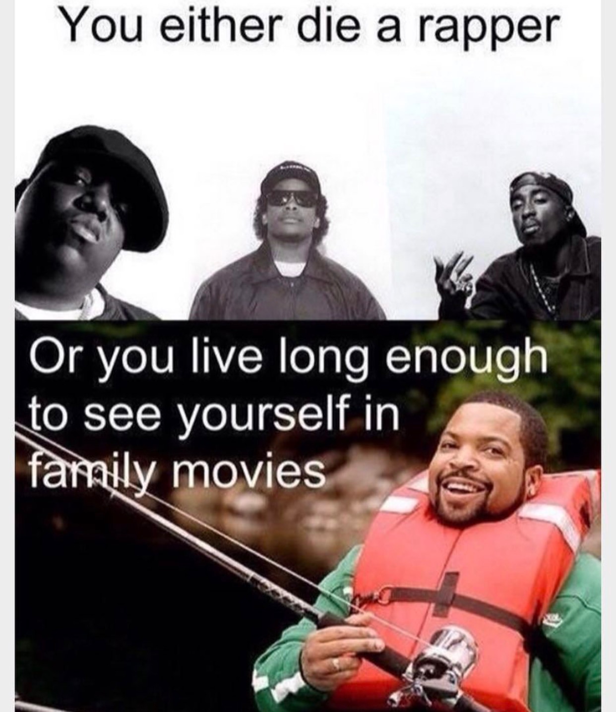 ice cube family movies - You either die a rapper Or you live long enough to see yourself in family movies
