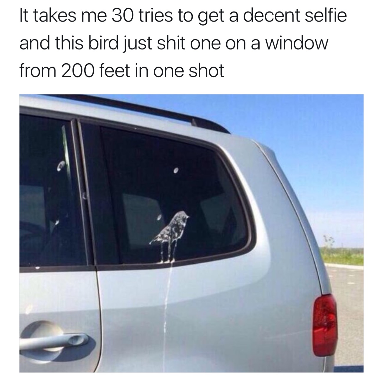 bird shits self portrait - It takes me 30 tries to get a decent selfie and this bird just shit one on a window from 200 feet in one shot