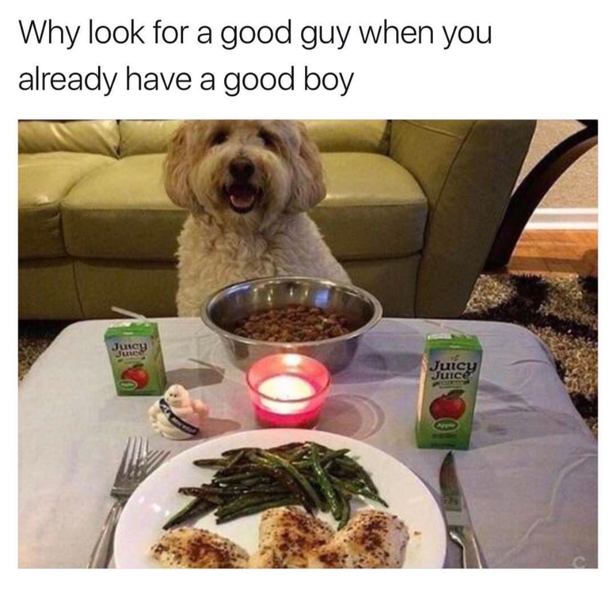there's no such thing as meme - Why look for a good guy when you already have a good boy Juicy