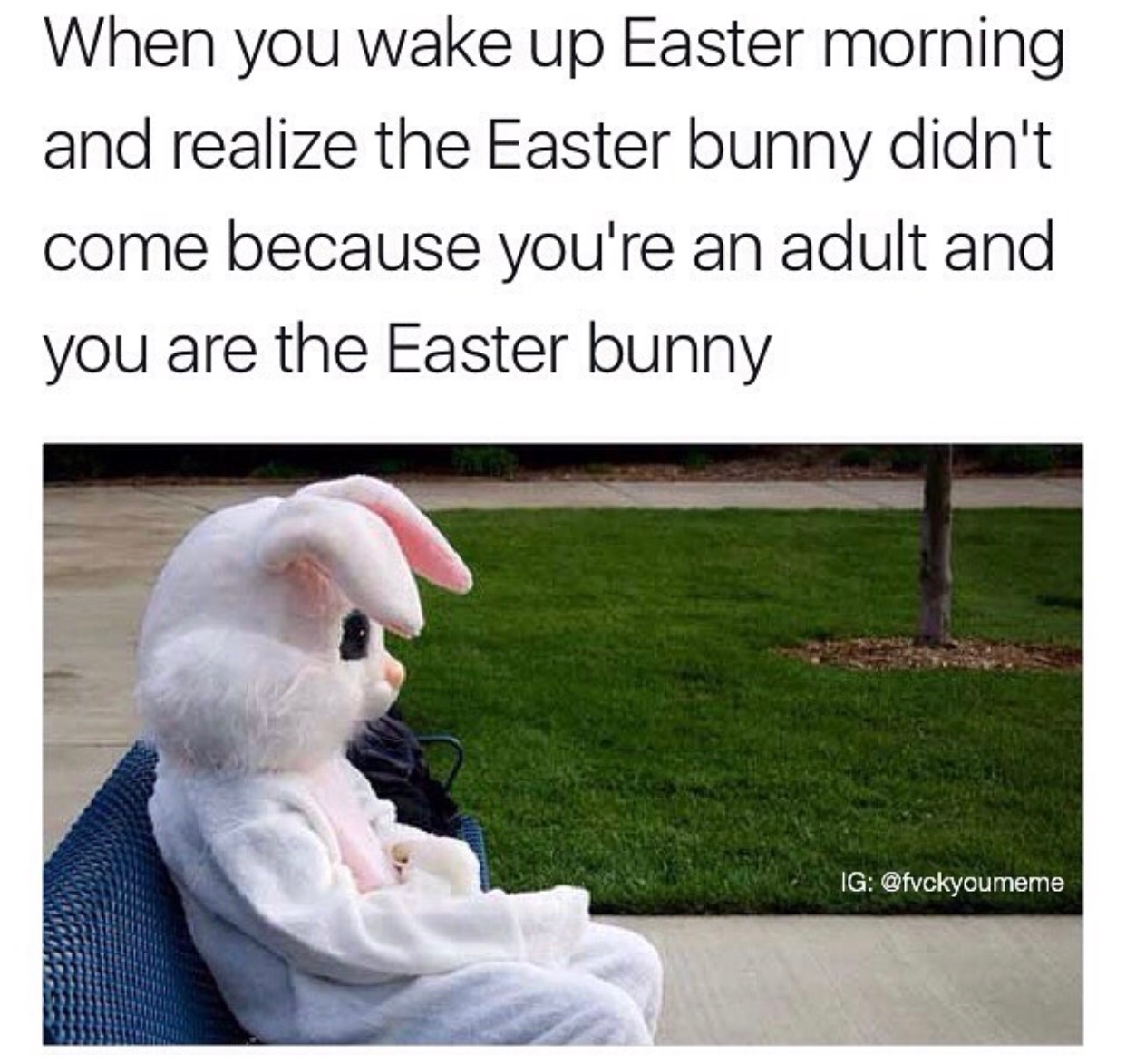 easter bunny on drugs - When you wake up Easter morning and realize the Easter bunny didn't come because you're an adult and you are the Easter bunny Ig